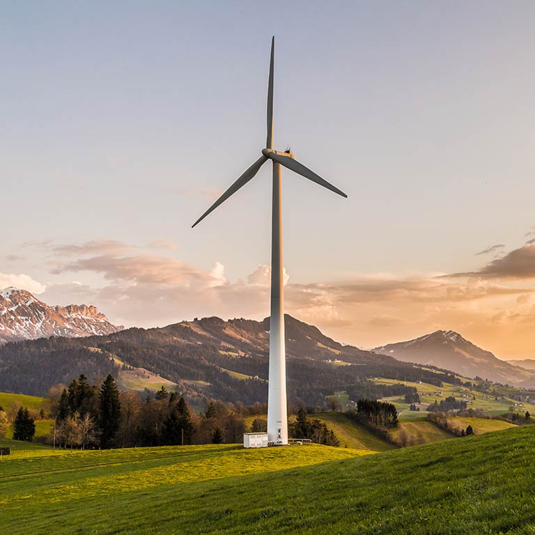 Which is more suitable for electric vehicles, a BLDC motor or a permanent magnet synchronous motor (PMSM)?