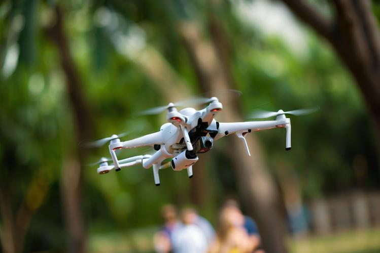 Optimization of BLDC low-speed torque pulsation