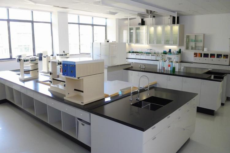 BL3270AN standard series coreless BLDC motor