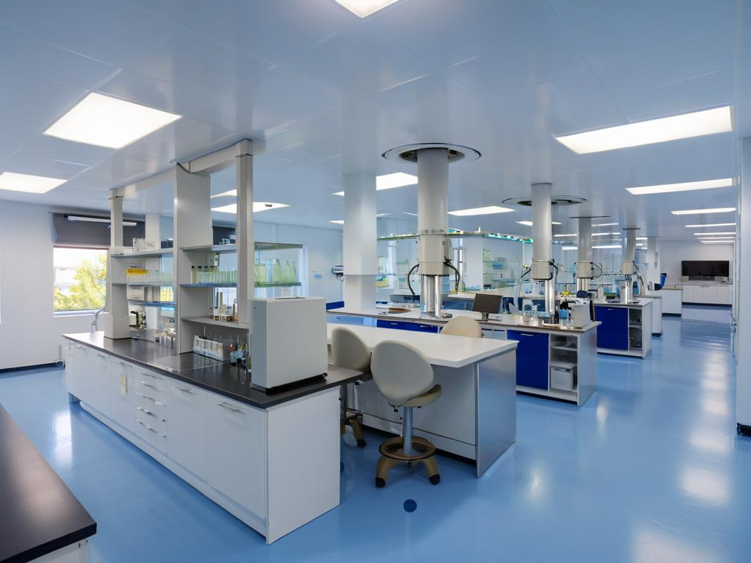 BL45100AN standard series coreless BLDC motor